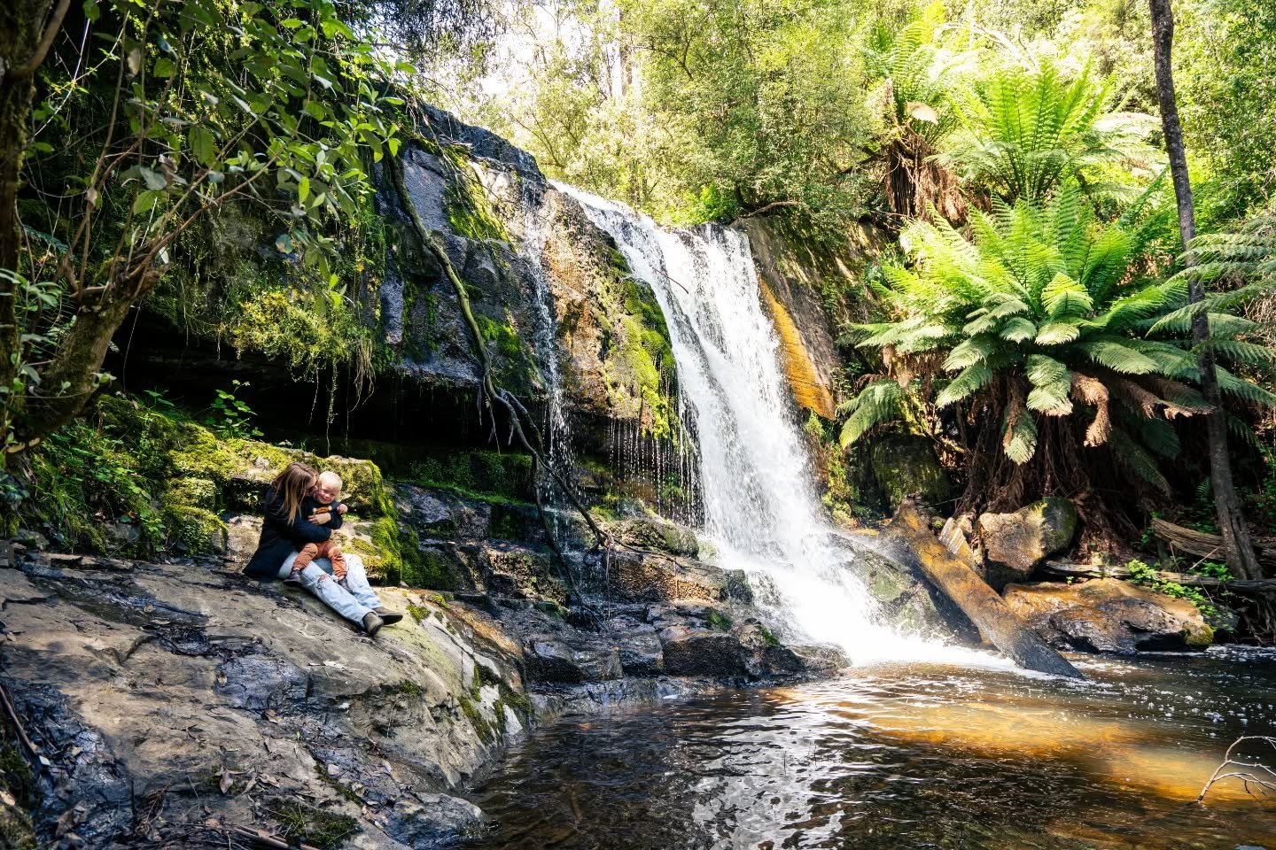 This was our first taste of Tassie waterfalls! 🌿

These snaps were taken at Lilydale Falls 📸
There are two sets of falls here and are very easy to get to (the furthest was only about a 10 minute walk from the car park).
Unfortunately dogs aren't al