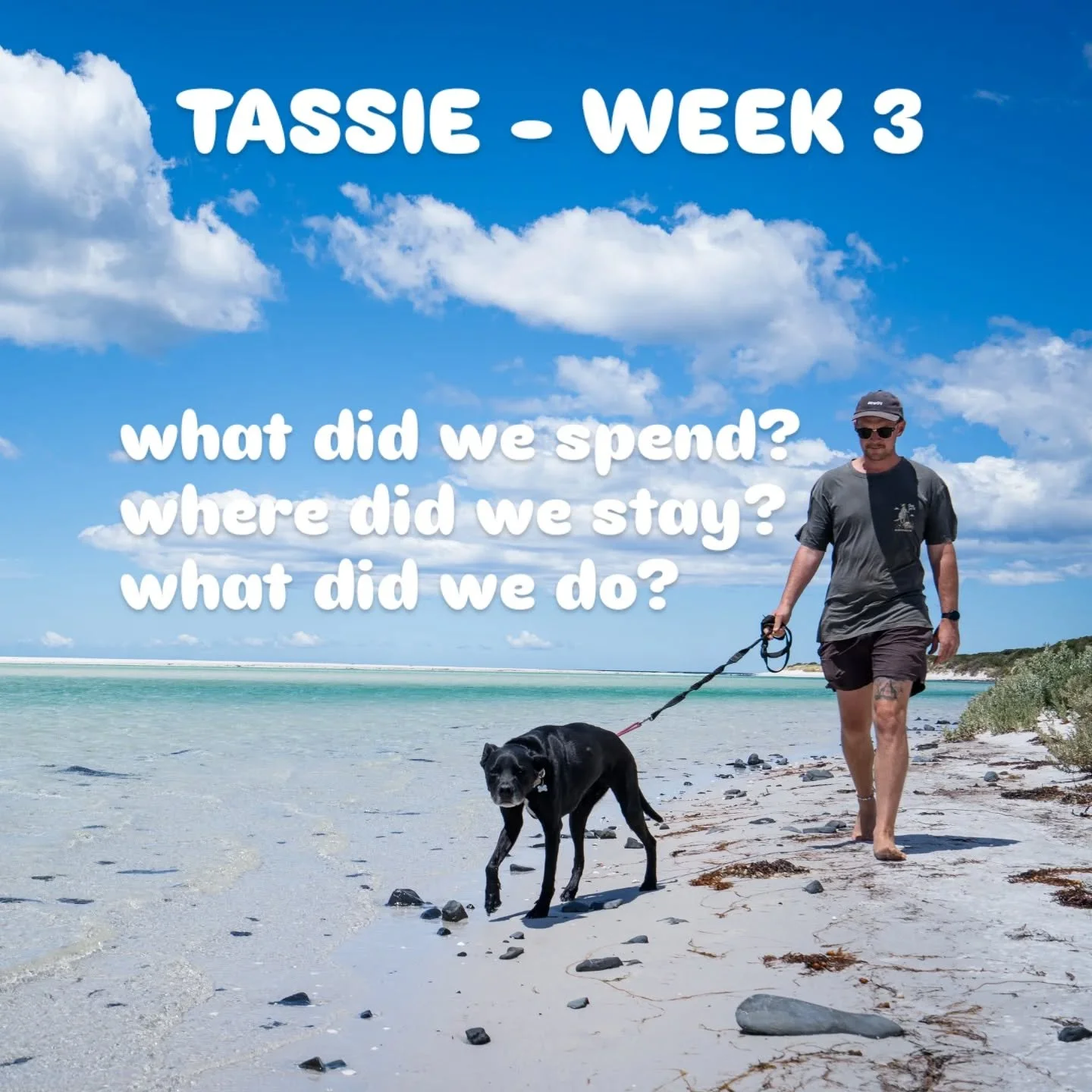 TASSIE WEEK 3! 🏖 Here's the wrap:

💲 WHAT DID WE SPEND?
This was by far our cheapest week over here so far... probably up there with one of our cheapest in the last 2 years!

Groceries - $294
Brewery/Winery/Takeaway - $150
Fuel - $150
Accommodation