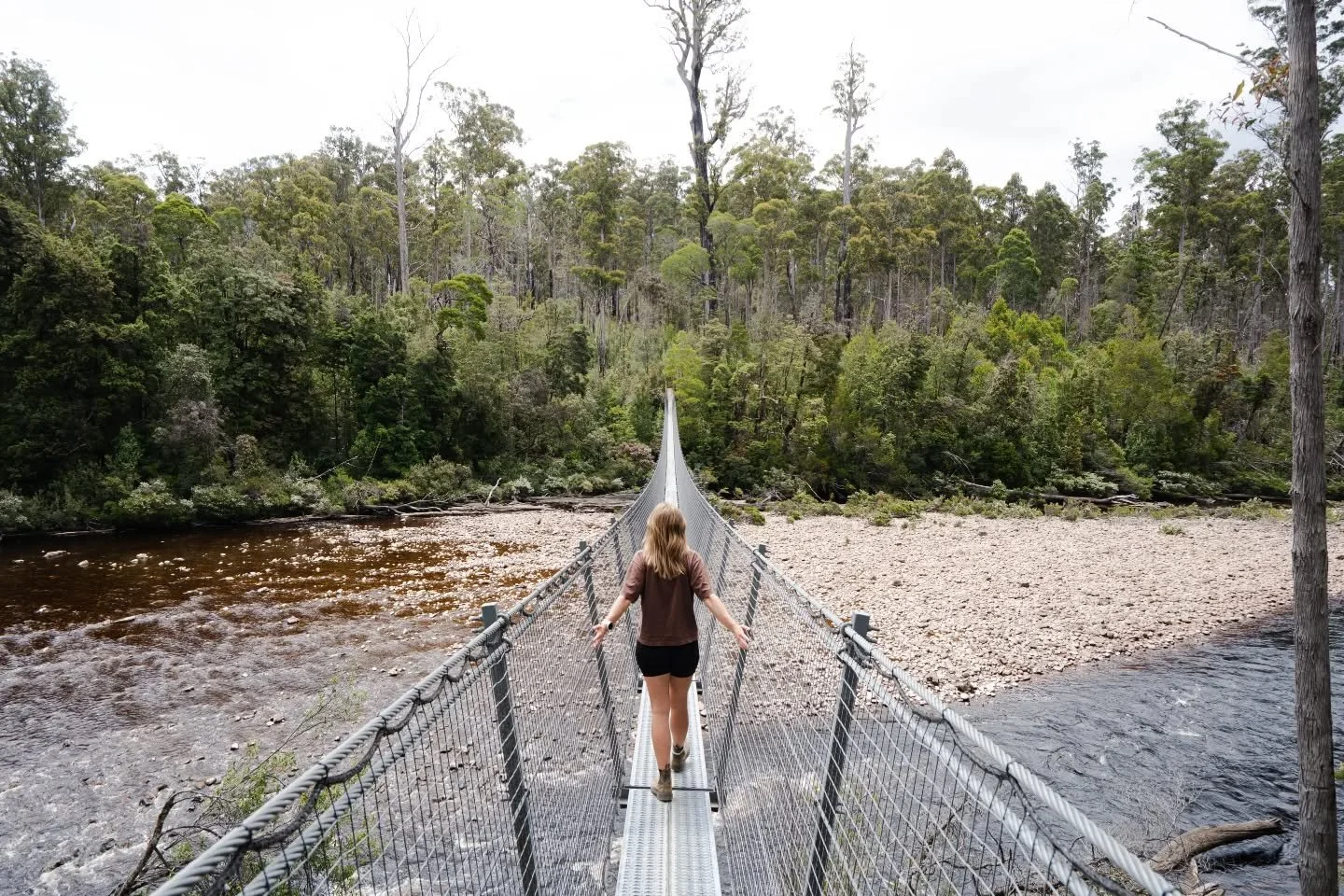 While down south we dropped into the Tahune Airwalk 🌳 
This walk takes you up through the treetops of the Tahune forest reserve, along the Huon River, and across the Swinging Bridges. 

INFO:
💰 COST: $87.50 for our family
🕙 TIME: It took us just u