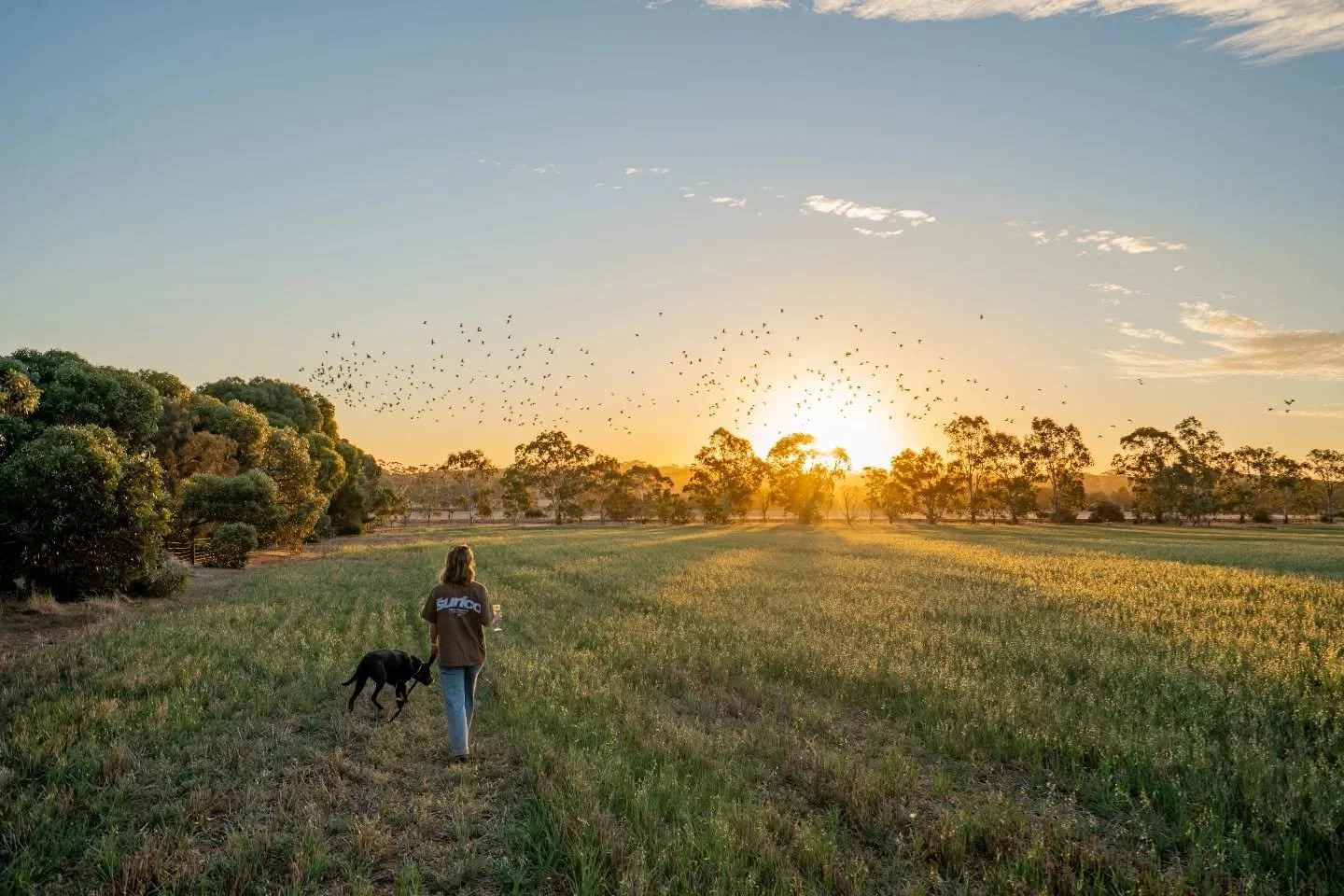 First couple days on the block have been unreal! 🌄
Been some long days trying to make this place as homely as possible, and working with what we've got (a couple shovels and a can-do attitude) 💪
Here's to the beginning of many sunsets and nights ar