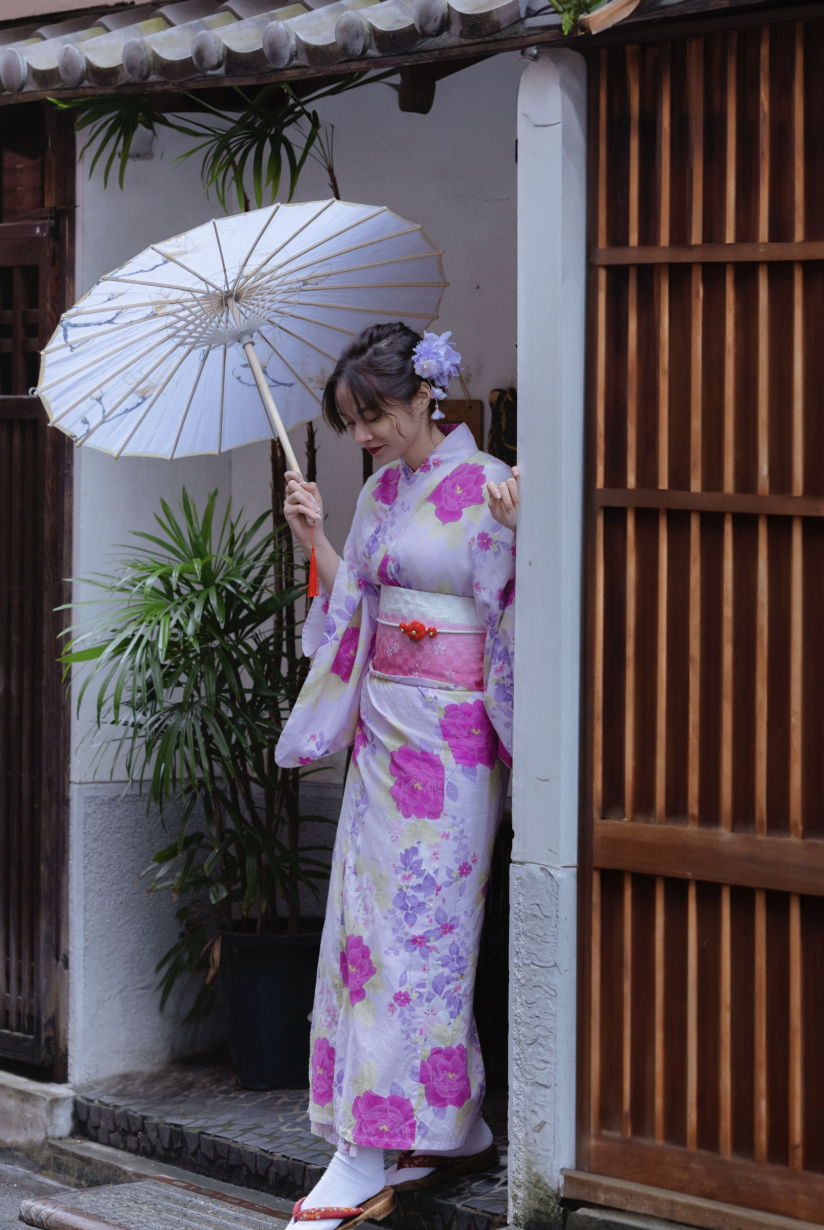 A woman wearing a colorful kimono with pink and purple floral patterns, holding a white parasol, standing next to a wooden gate and potted plant.