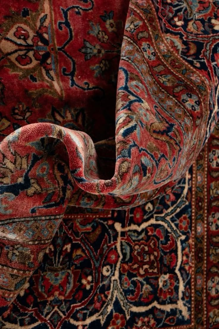 #persian_.jpg