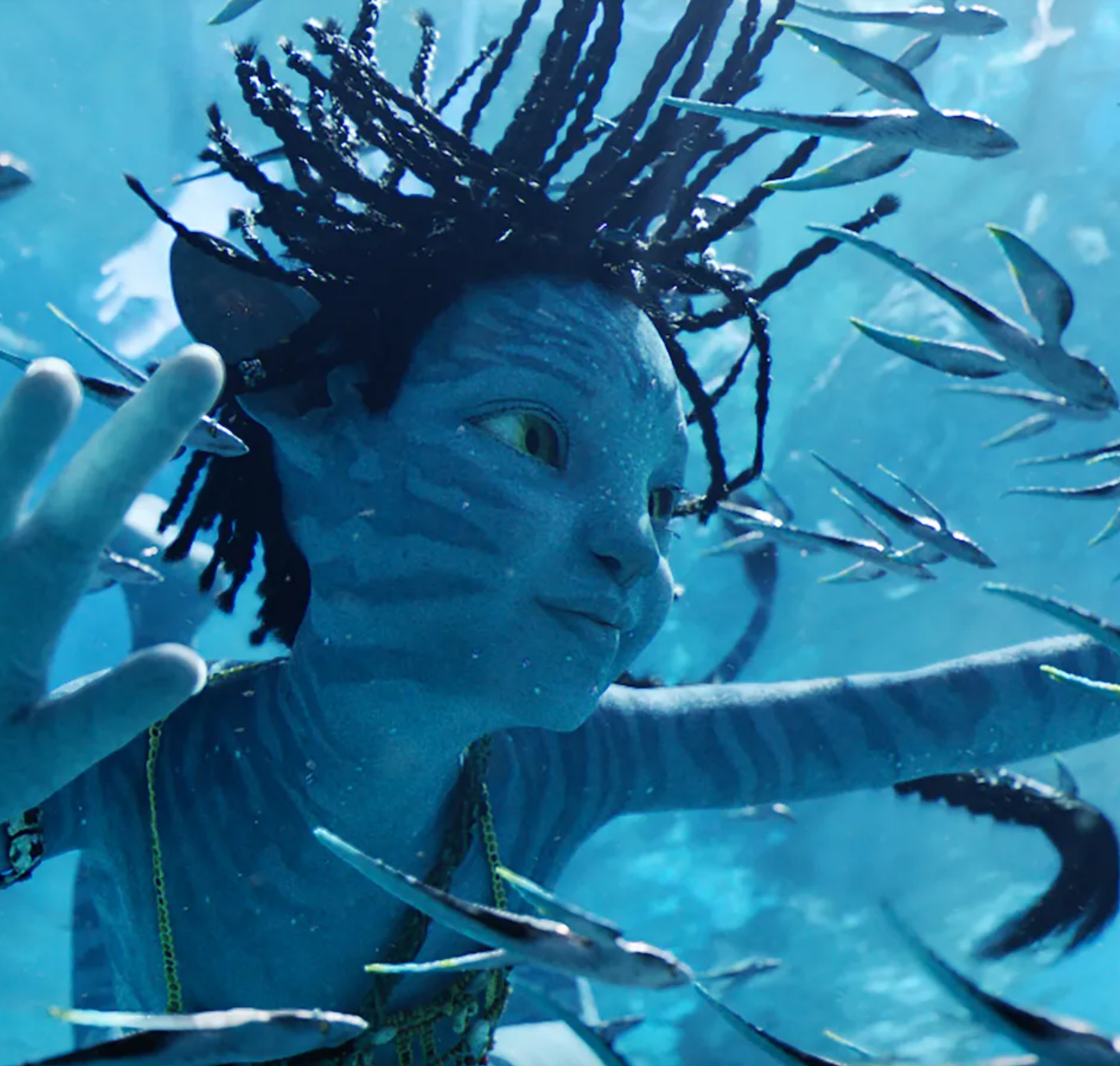 Screenshot 2024-06-05 alle 4.05.37 PM.png