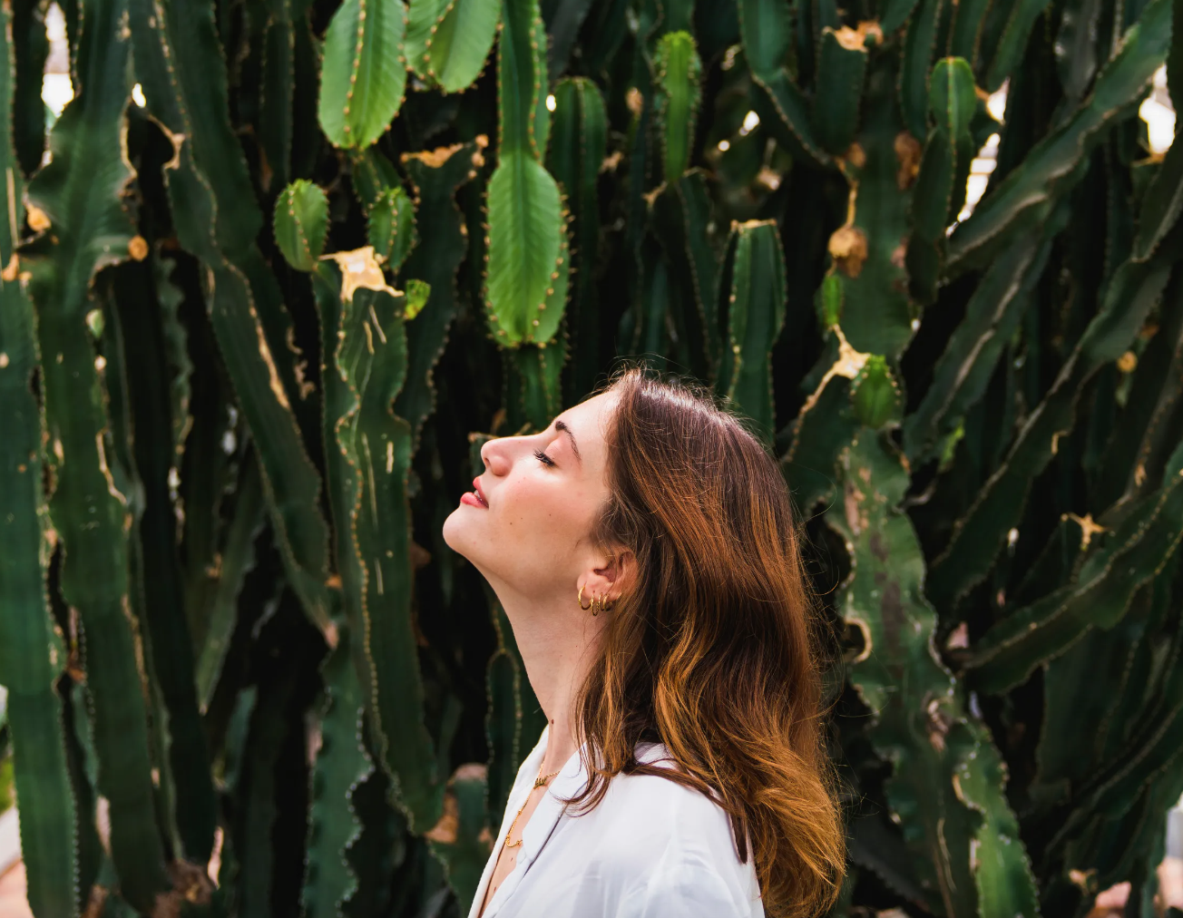 Screenshot 2024-06-05 alle 3.53.45 PM.png