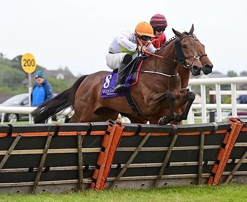 🔸Hatfield Hammer🔸 wins in good style today under @jordangainford at our local track @wexfordracecourse. Well done to all connections👏
