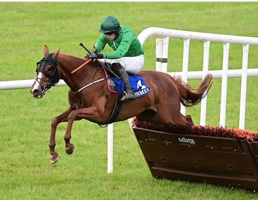 💫HMS Seahorse💫 is back to winning ways today in Clonmel under a great ride from @carlmillar123. Well done to all connections👏