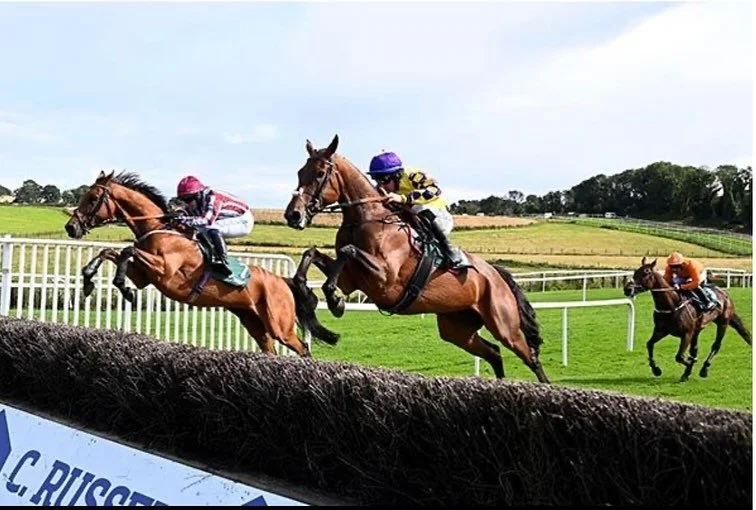 💜💛Juniper Hill💛💜 breaks her maiden tag over fences today in @downpatrickracecourse for a great bunch of wexford lads, and ridden to victory by @flanagansw988👏 well done to all connections👏