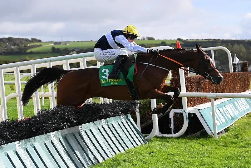 Delighted to see Farfromnowhere bouncing back to her best @listowelraces under @sokeeffe99 yesterday. Always nice to have a winner at the Harvest Festival 🌞

Well done to connections 👏