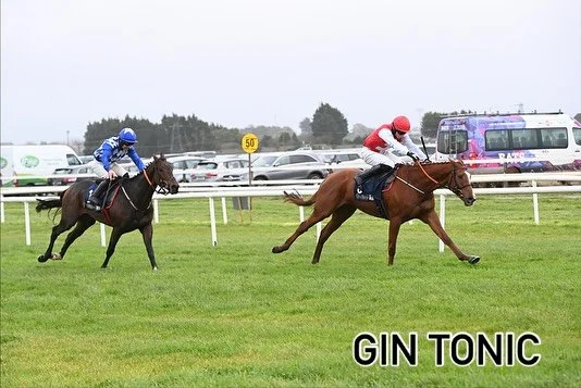 Wexford winners 🟣🟡