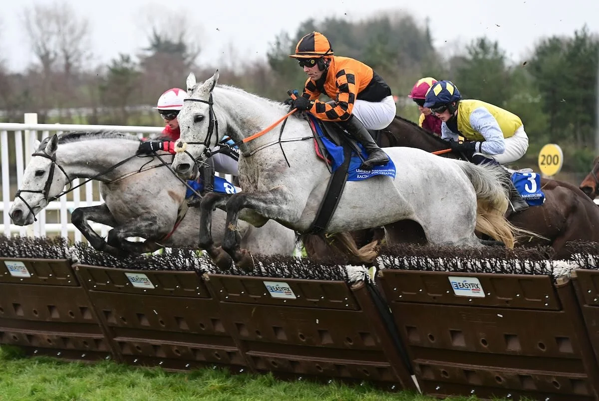 Great to have a Christmas winner @limerickraces yesterday. Joyau De Thaix battled hard under @jordangainford to win the infinity lifts handicap hurdle. Delighted for his owner Lynne MacLennan ⬛️🟧