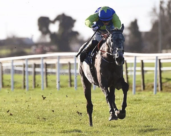 I am Lorenzo gets off the mark first time of asking over fences yesterday @fairyhouseracecourse under @flanagansw988. 
Congratulations to his owner @tim_o_driscoll 🔵🟢