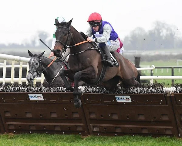 A nice performance from Harwa today under @flanagansw988 to win on his Irish debut @fairyhouseracecourse

Well done to the Browne and Coffey families 🟣⚪️🔴

@betvictor