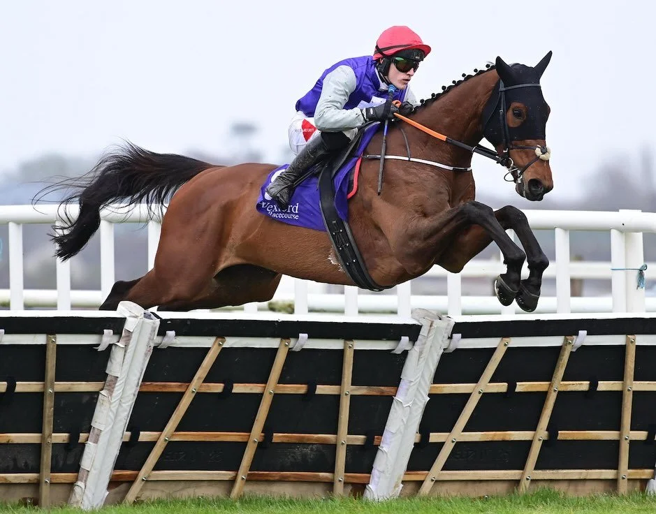 Delighted to have a double at Wexford today with Le Moulin Rouge and Sean Mc both winning under @eoinstaples

Well done to the Browne and Coffey Families and Dominic Delaney 🏆 🏆