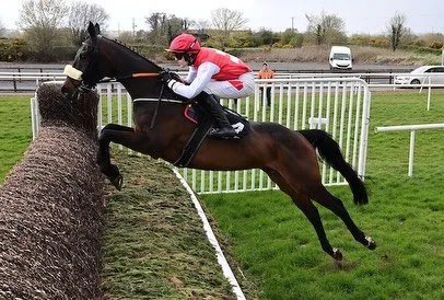 Sandor Clegane and Only For Our Man both get the job done @downroyalracecourse today. Another double under the in form @eoinstaples 🏆 🏆 

Delighted for the Browne and Coffey families and Patrick Carberry. Well done to all connections