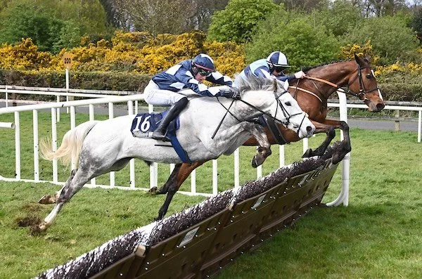 Great to get Two Pair off the mark over hurdles @bellewstownraces on Saturday under @flanagansw988. 

Delighted for her owner Cathy Byrne.