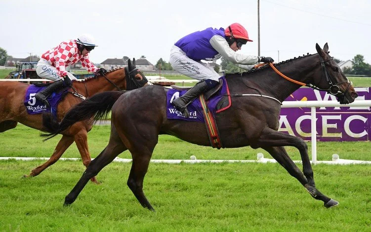 Brilliant to get the treble up @wexfordracecourse today with Sageborough, kiltealy Park and He&rsquo;s my Hero. Great day for everyone involved.
Well ridden by @sokeeffe99 @_alan_o_sullivan and @jack_hendrick
Delighted for the Browne and Coffey famil