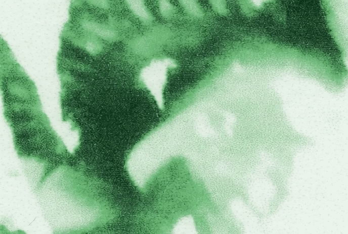 Studio de création & communication visuelle fondé en 2024, basé à Tours en France.