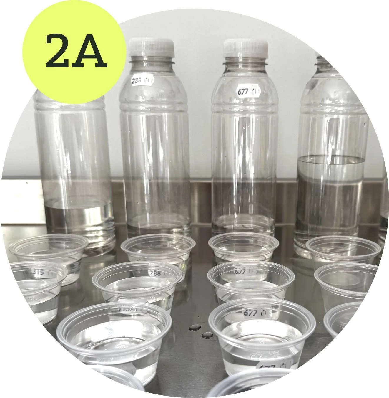 Flera petflaskor och små plastkoppar fyllda med vatten på en metallbänk. En av flaskorna har en etikett med texten "677" och några koppar har etiketter med numrer, t.ex. "288" och "677".