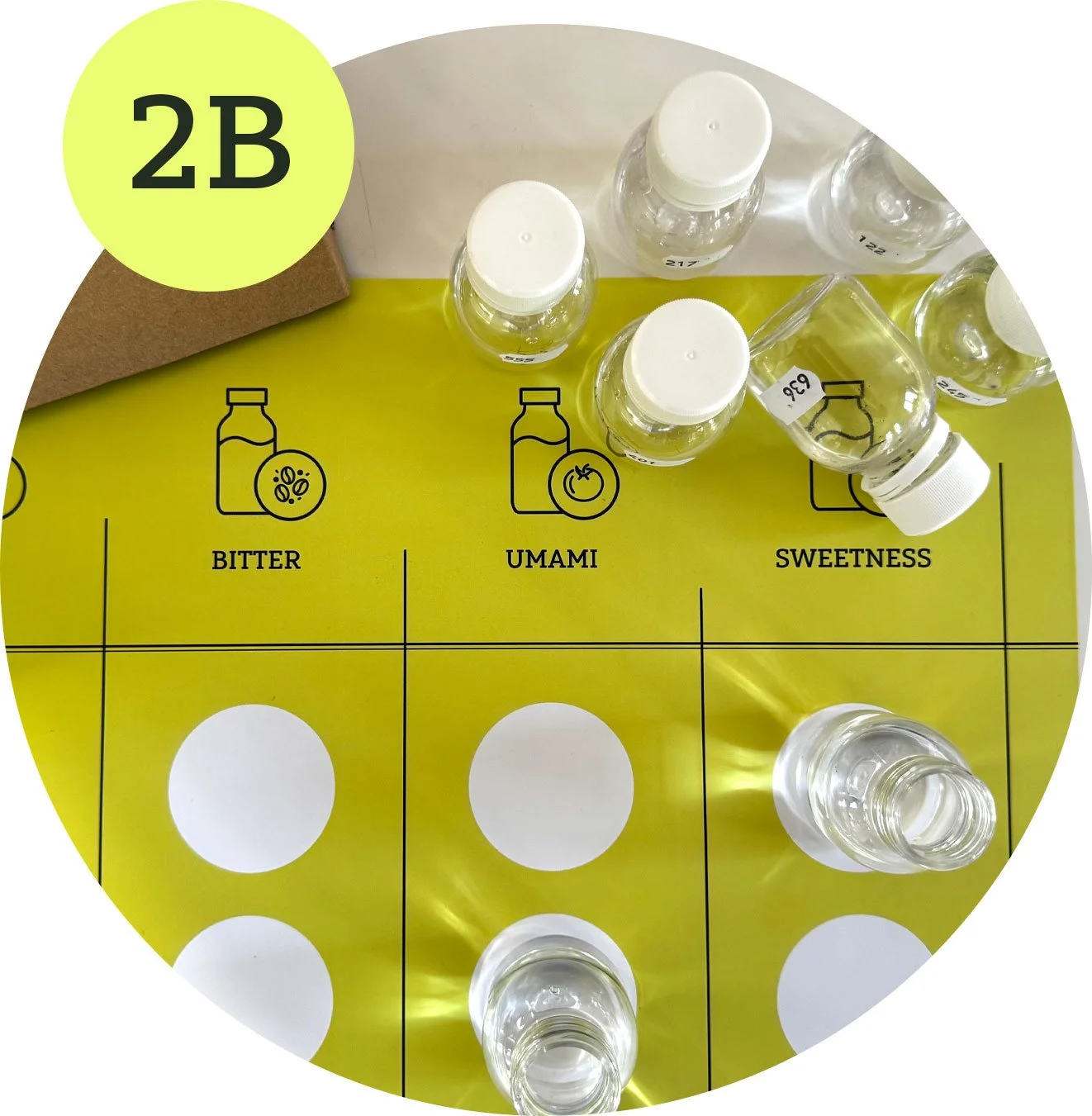 Bild på en tabell för doftprovning med tre kolumner märkta 'Bitter', 'Umami' och 'Sweetness'. Det finns flera små flaskor med klara vätskor placerade på tabellen.