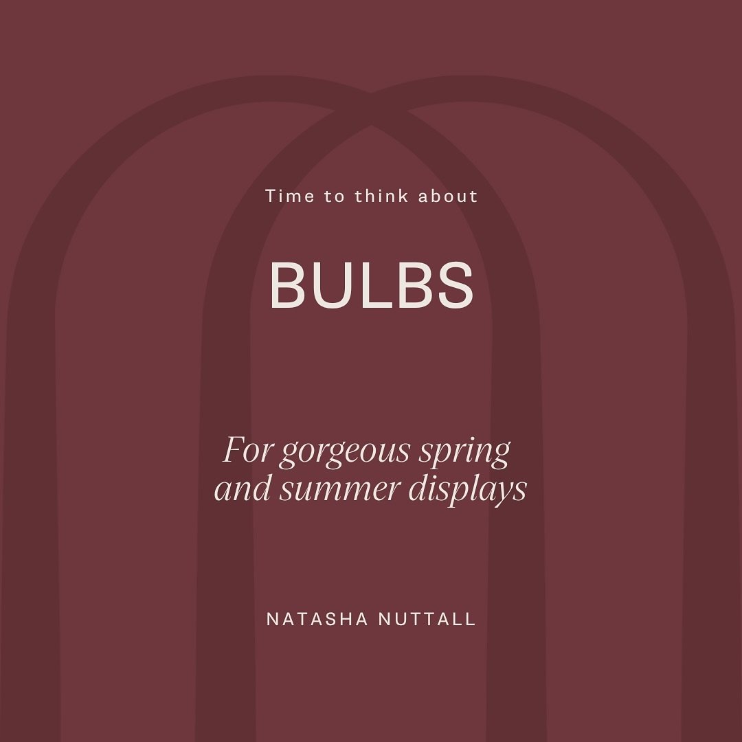 Time to think about planting spring and summer flowering bulbs soon for a gorgeous display next year!
#springbulbs #plantingdesign #gardeninspo #gardeninspiration #greeningthecity #gorgeousgardens #londongardens #urbangardendesign