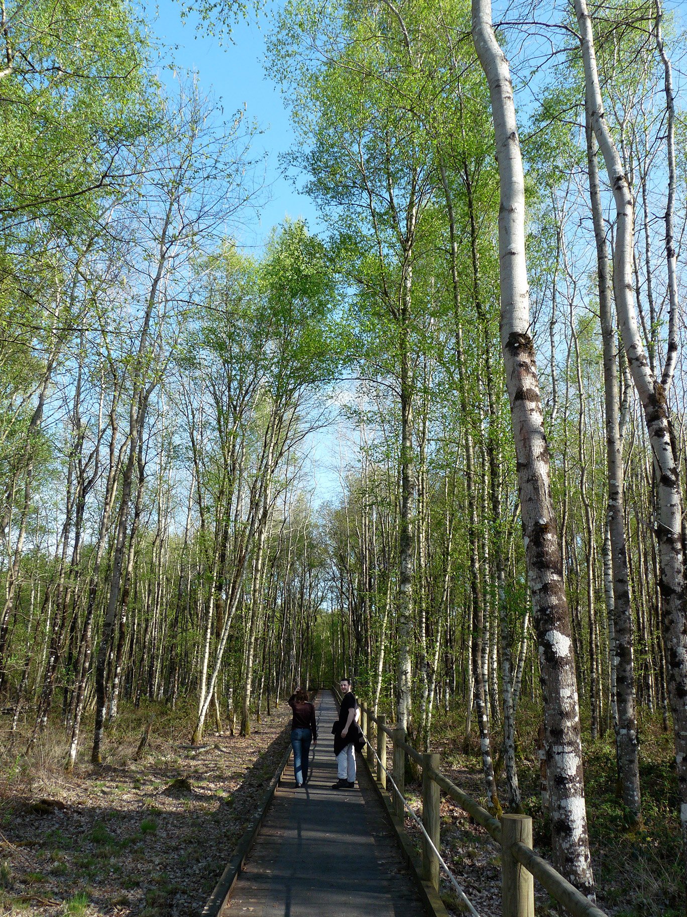 p1020342.jpg