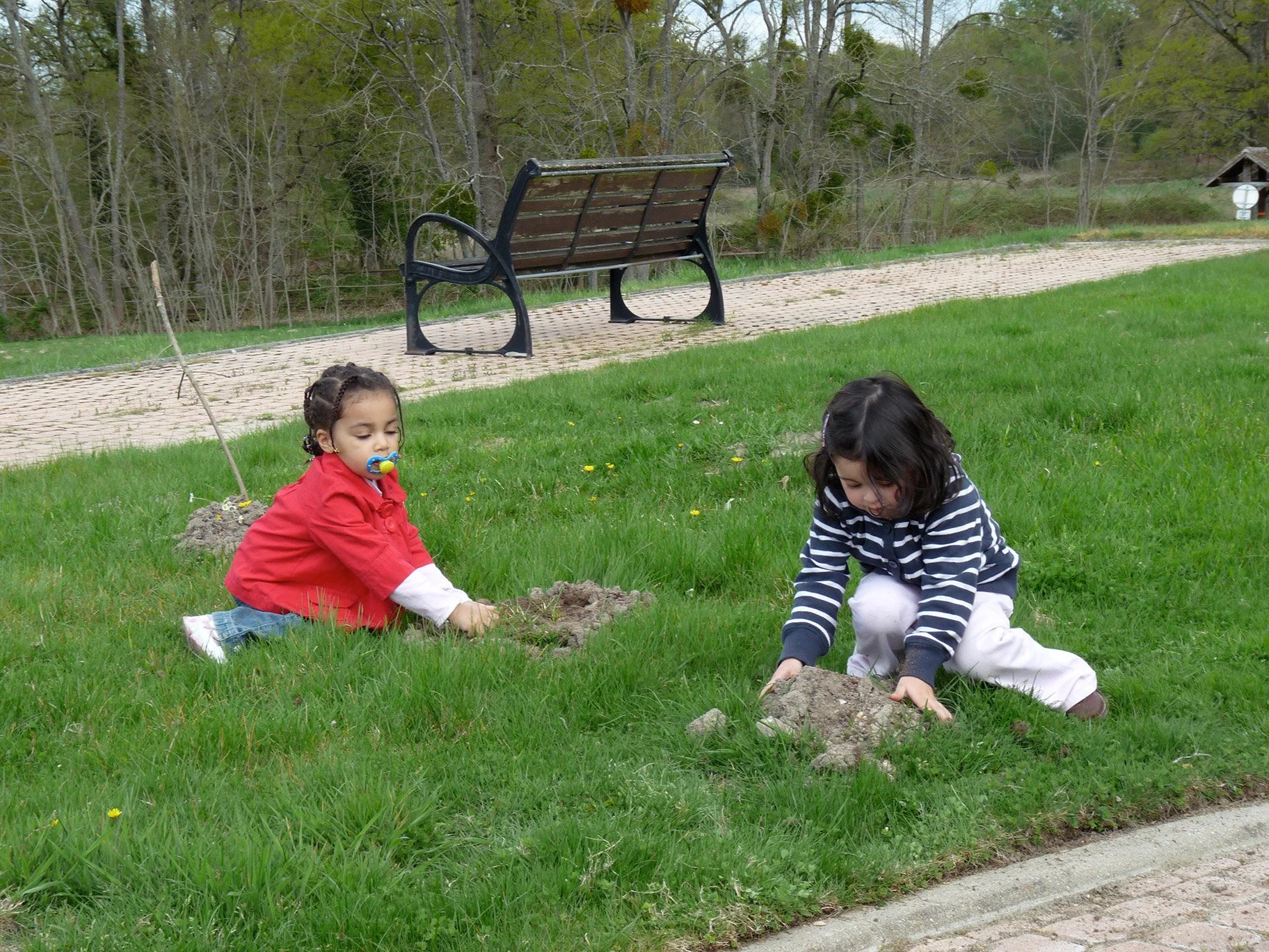 p1010906.jpg