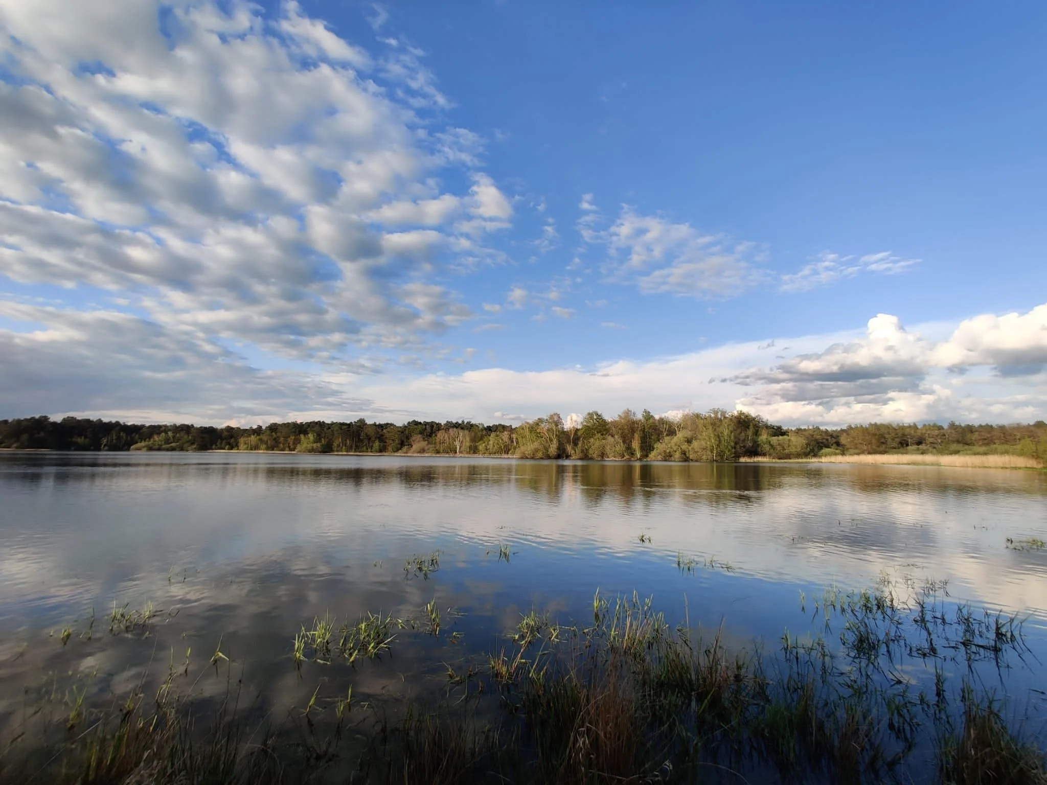 PHOTO-2023-04-23-17-54-11 2.jpg