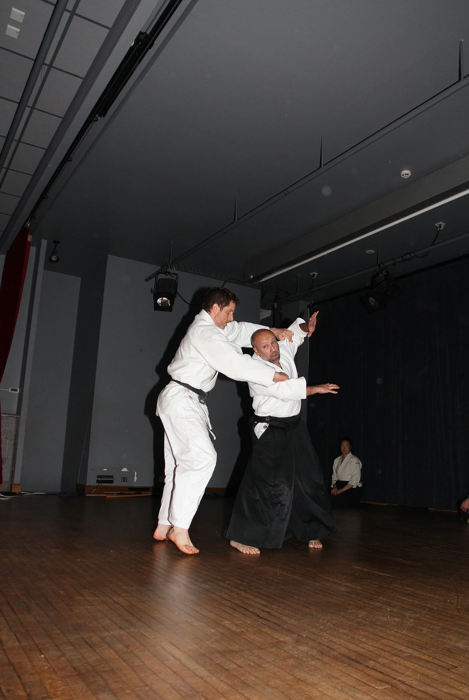 aikidopatrice_stage_Nouan_avril_2025-40.JPG