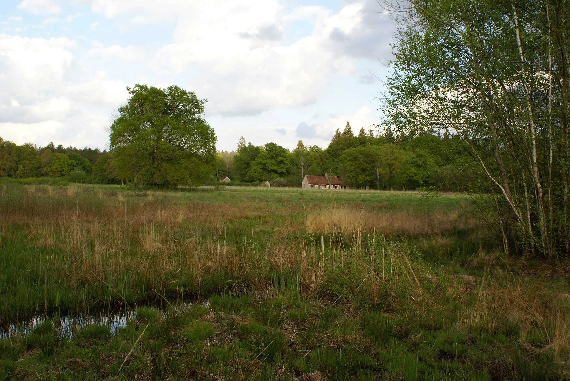 dsc02643.jpg