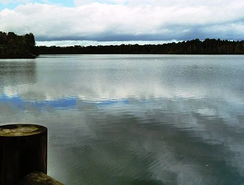 p1040302.jpg