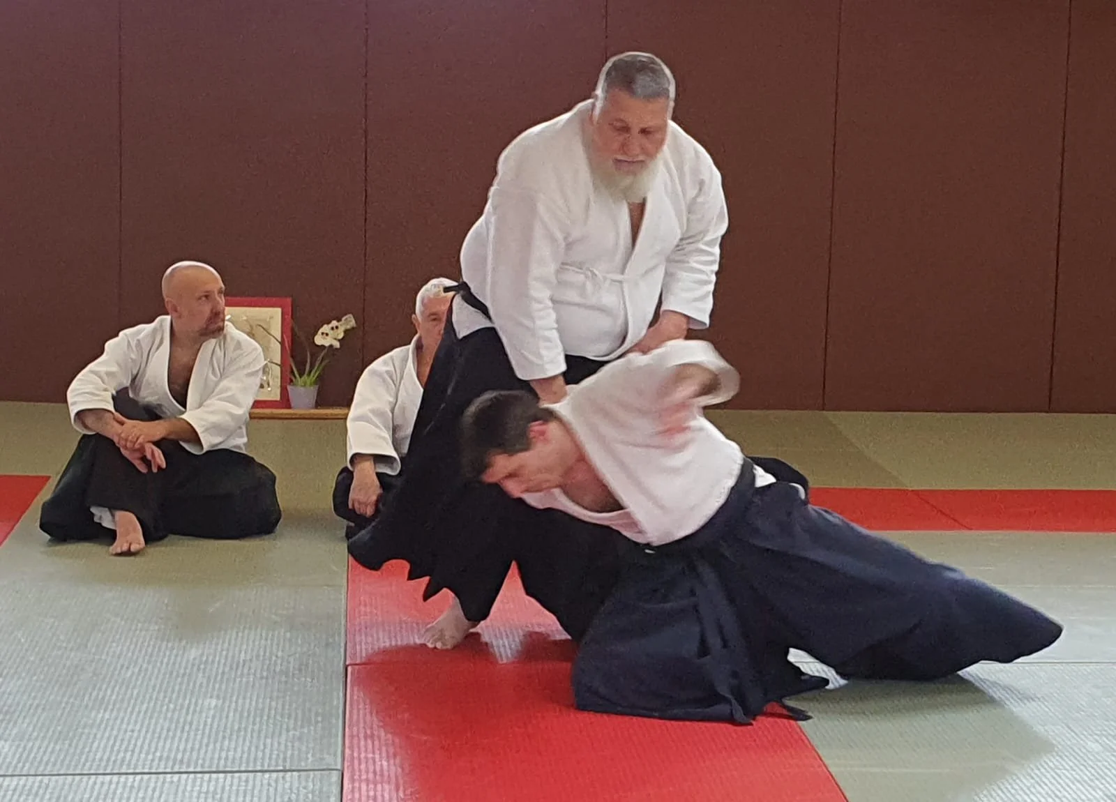 WhatsApp Image 2024-04-21 at 00.29.29.jpeg