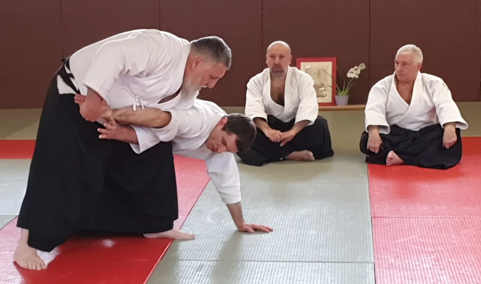 WhatsApp Image 2024-04-21 at 00.29.33.jpeg