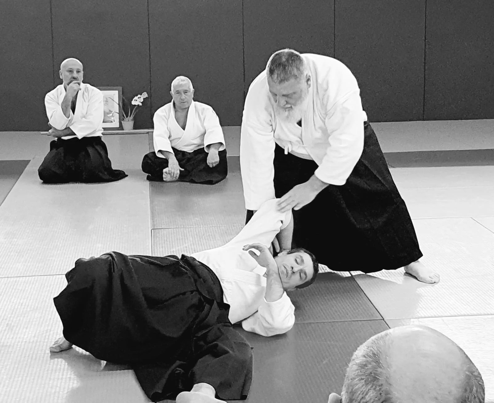 WhatsApp Image 2024-04-21 at 00.28.52.jpeg