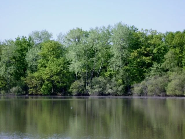imgp2944.jpg