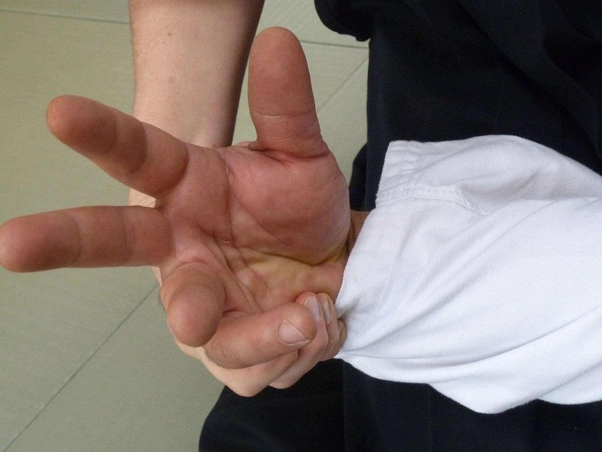 p1090241.jpg