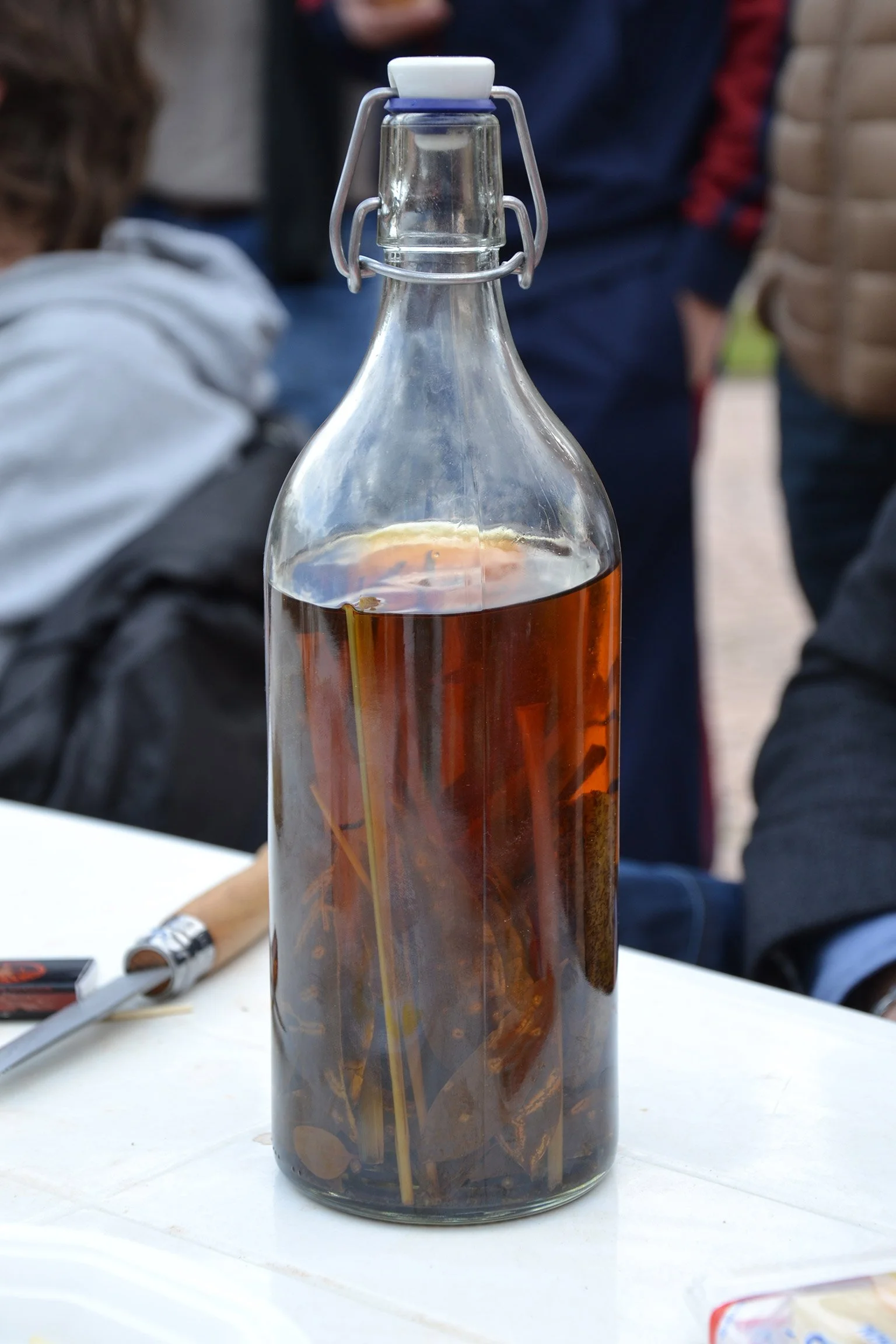 dsc_0384.jpg