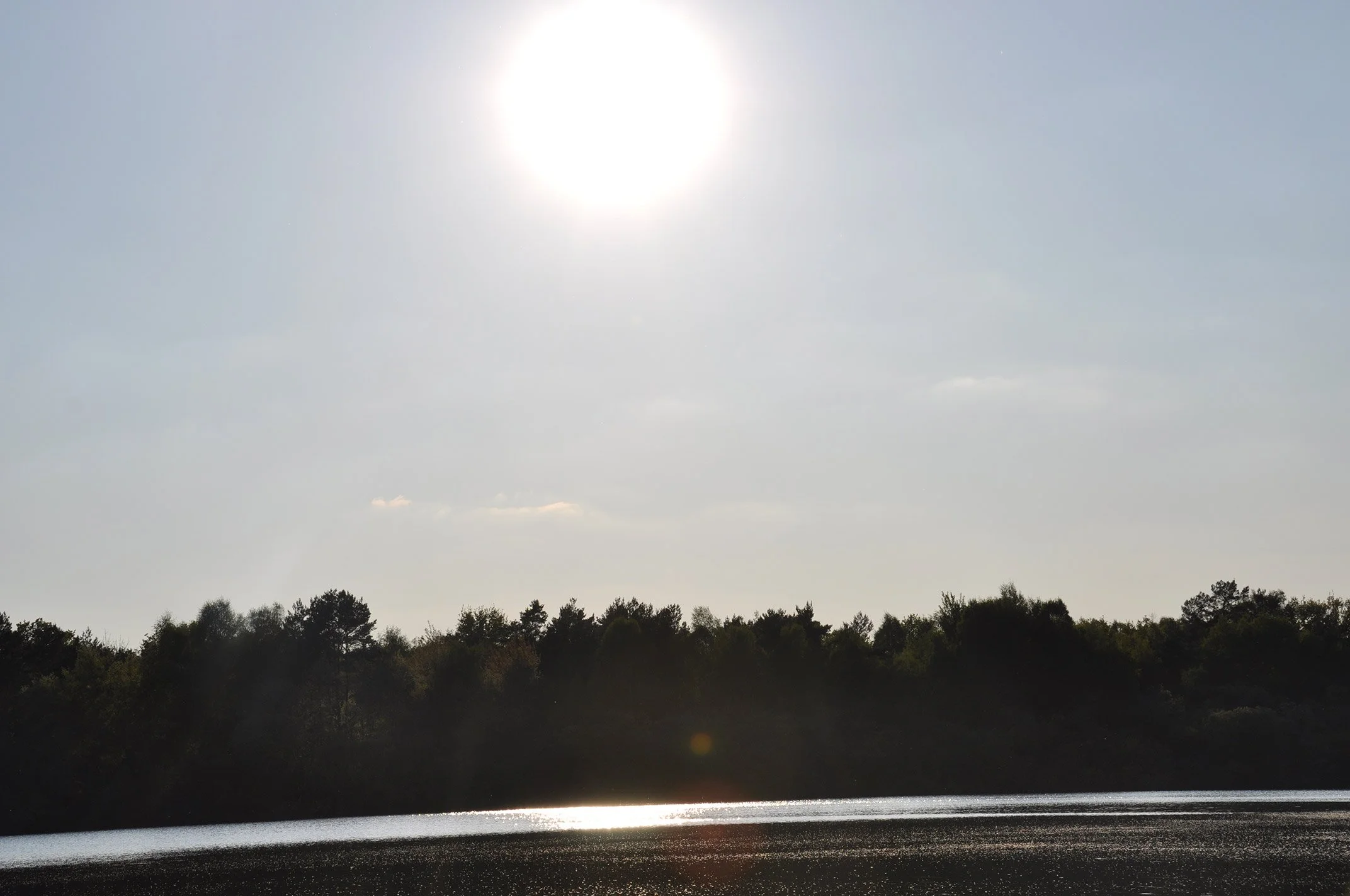 dsc_0262.jpg