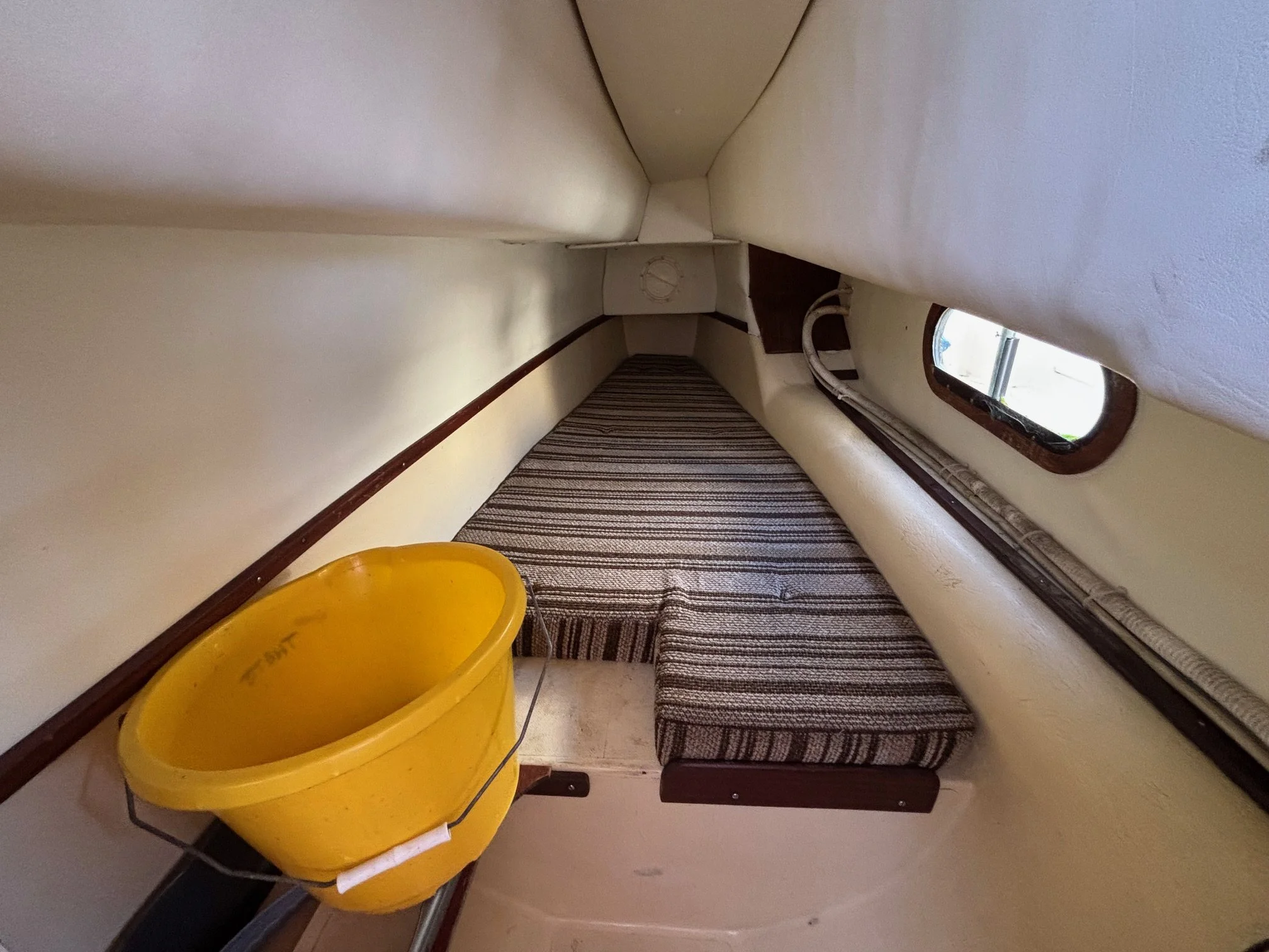 IMG_4110.jpg