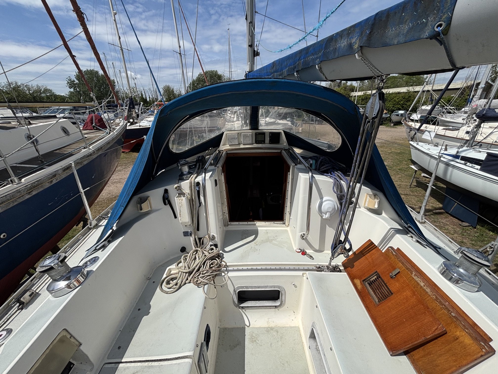 IMG_7802.jpeg