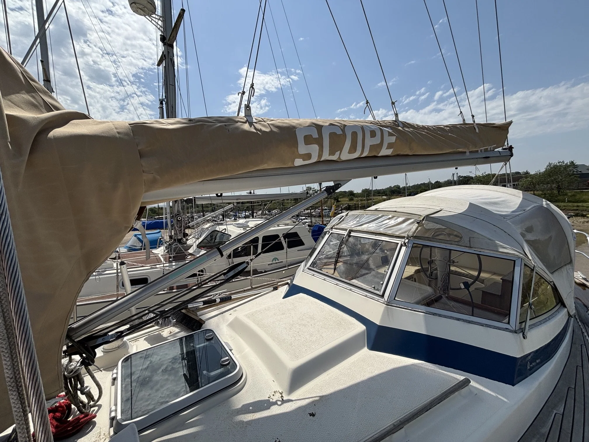 IMG_8880.jpeg