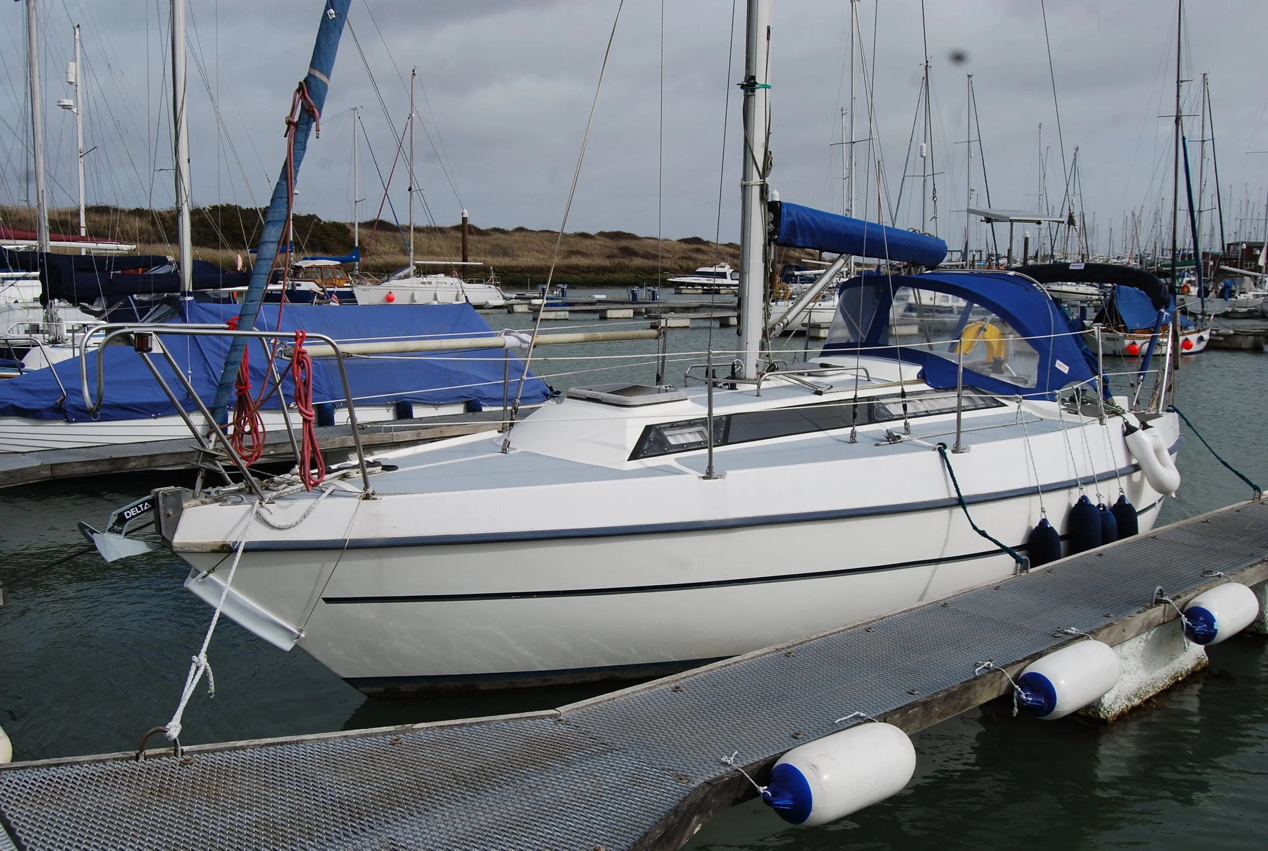 DSC_4150.JPG