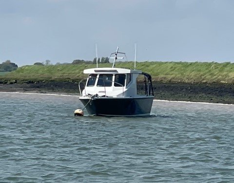 image8.jpeg