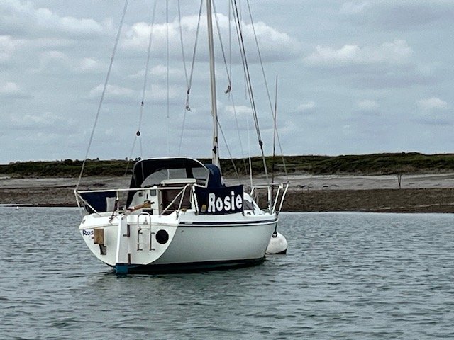 IMG_3772.jpeg