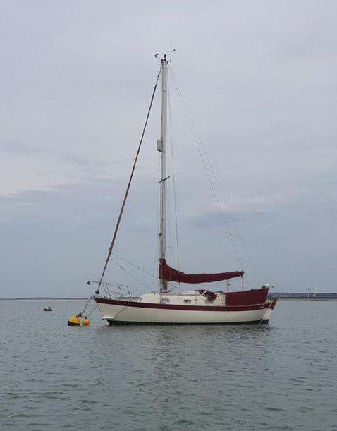 Picture1.jpg