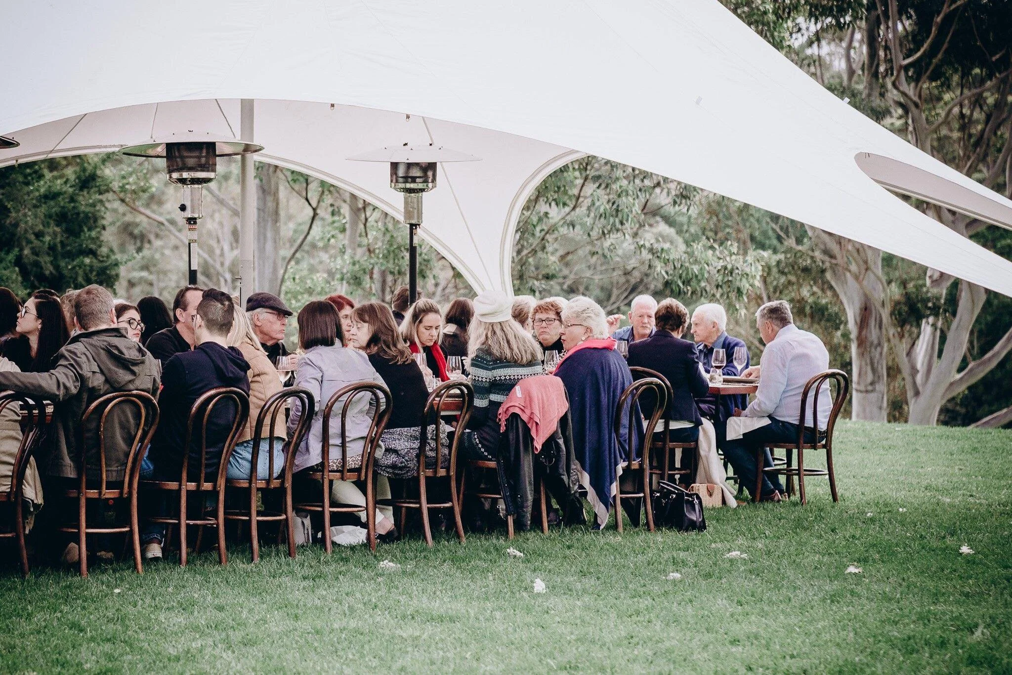 Guests dining together beneath a canopy at Mason Winery