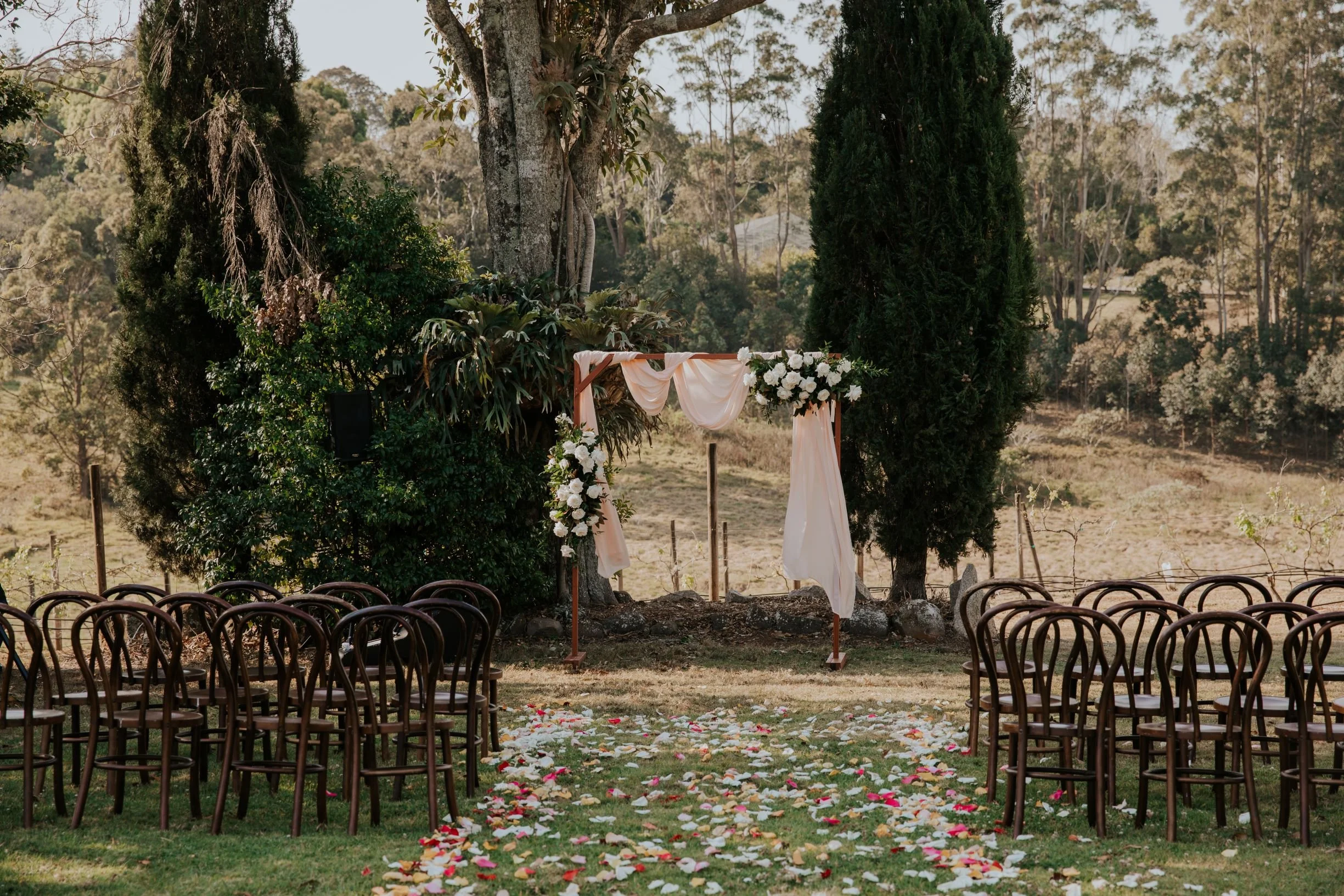 A newly married couple celebrating at Mason Winery
