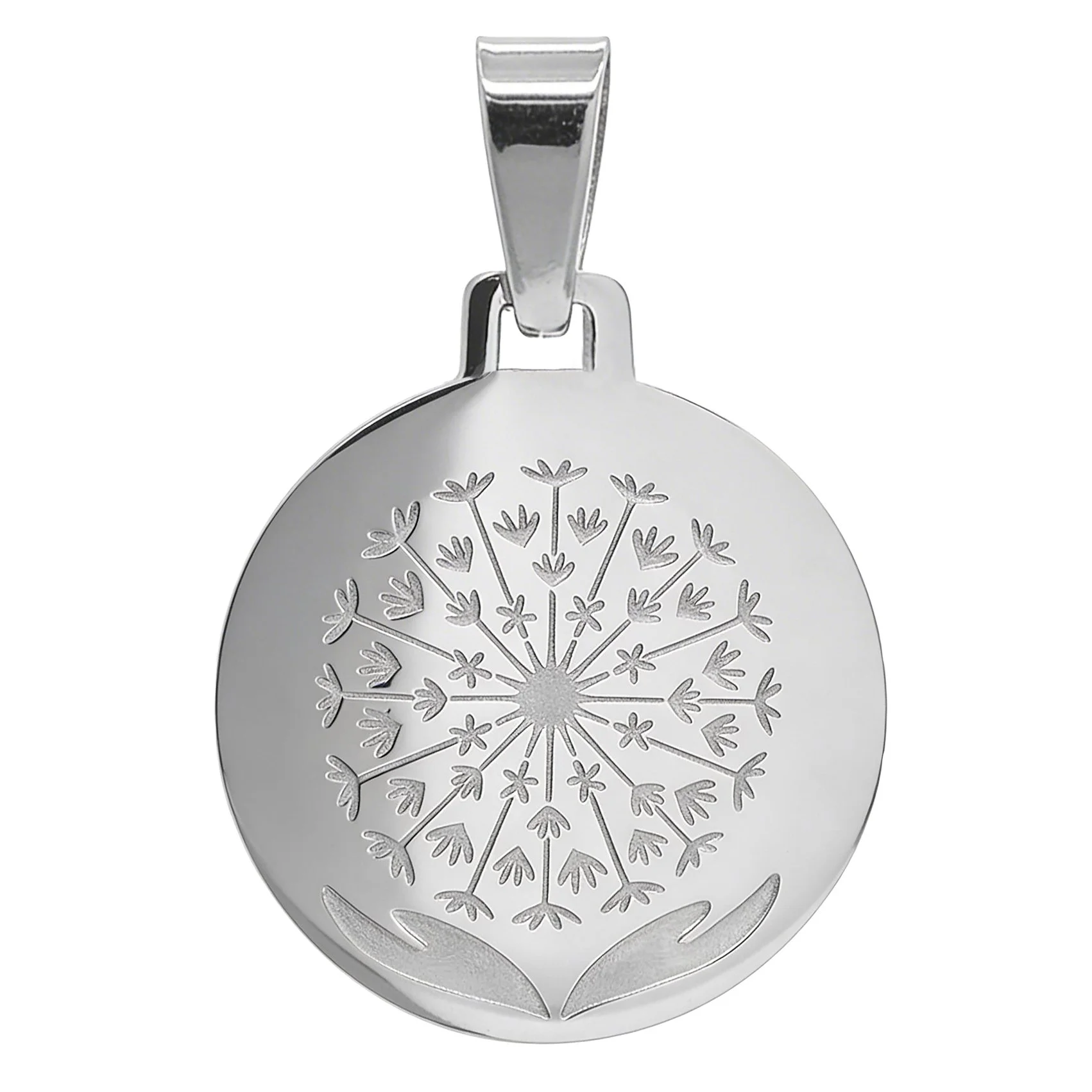 pequeña plateada logo.jpg