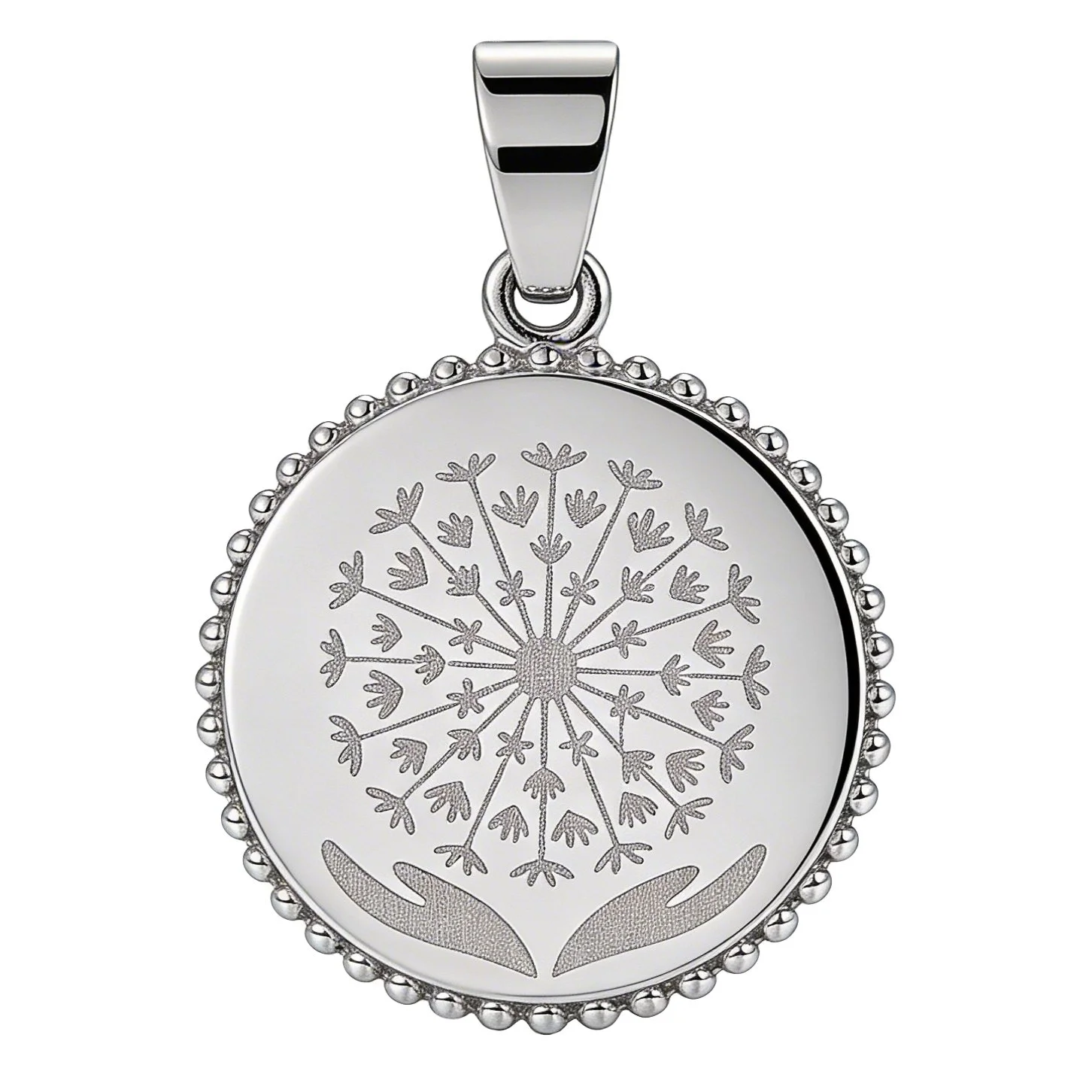 mediana borde plateada logo.jpg