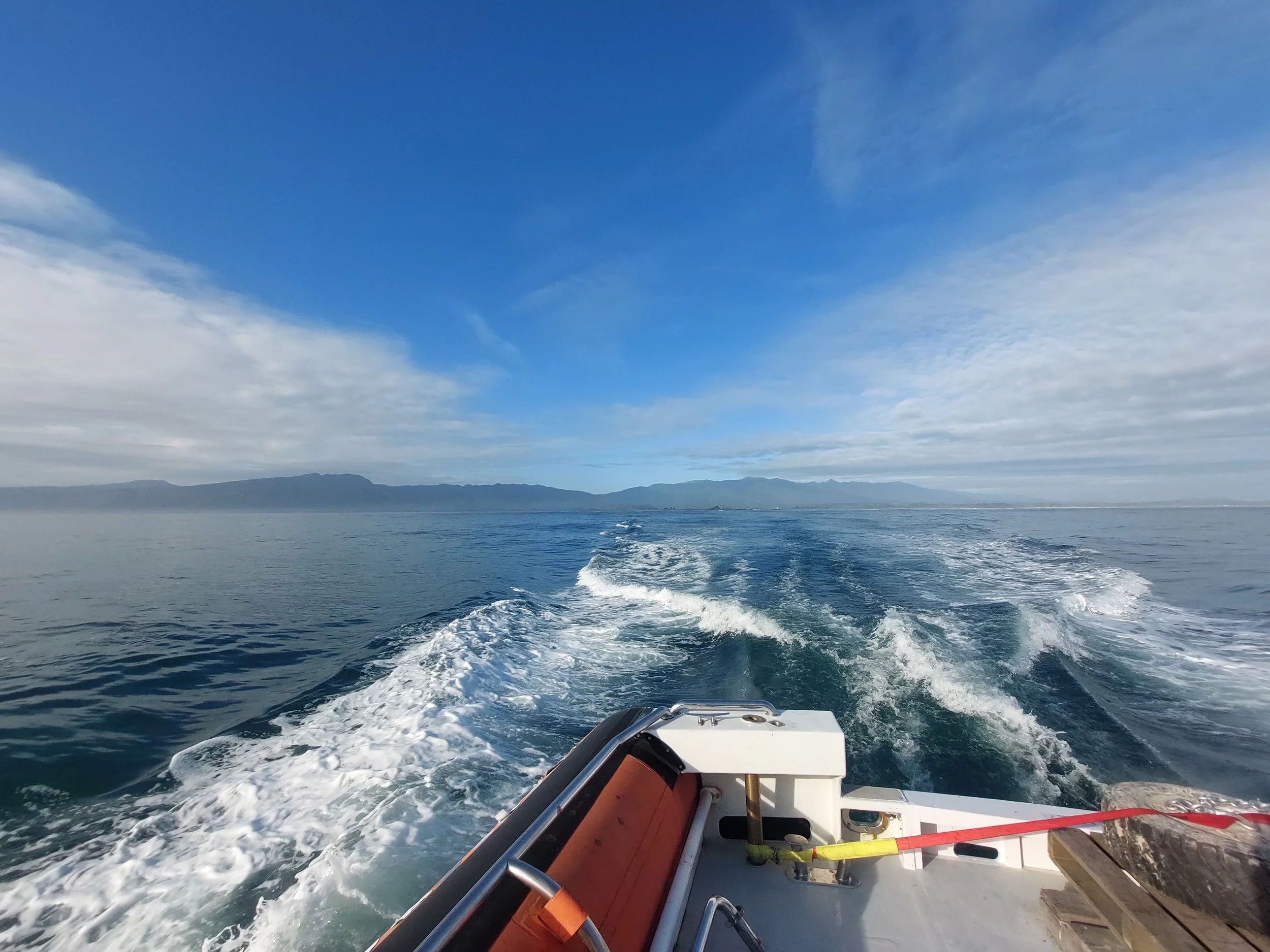 Westport’s wave buoy deployed