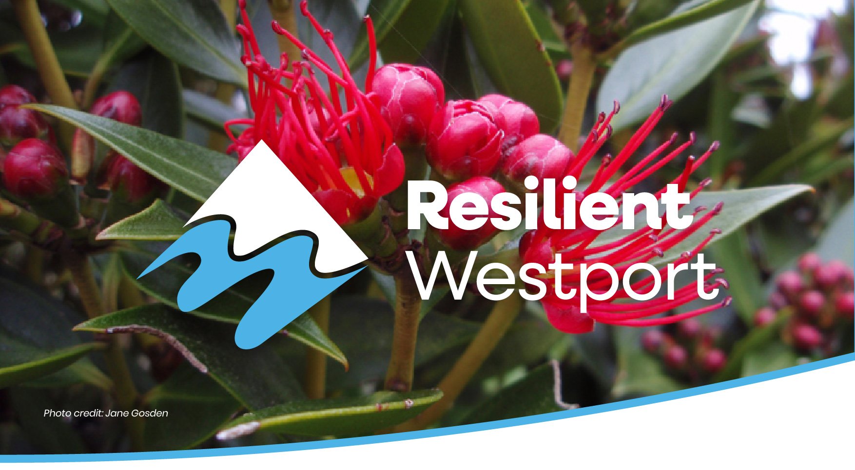 Resilient Westport December Newsletter 2025 